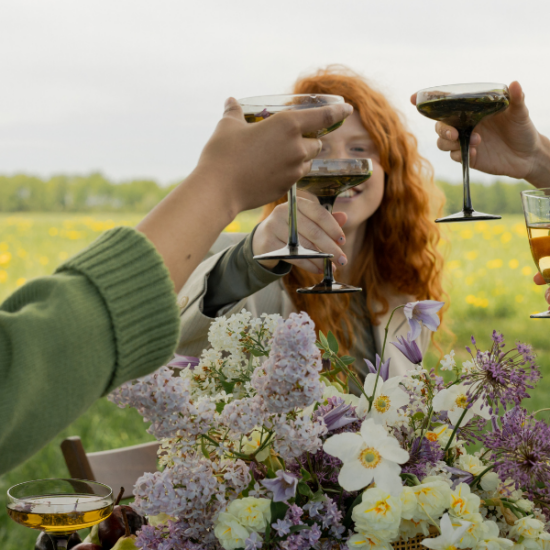 personnes qui trinquent dans un jardin