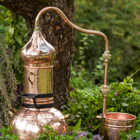 alambic dans la nature