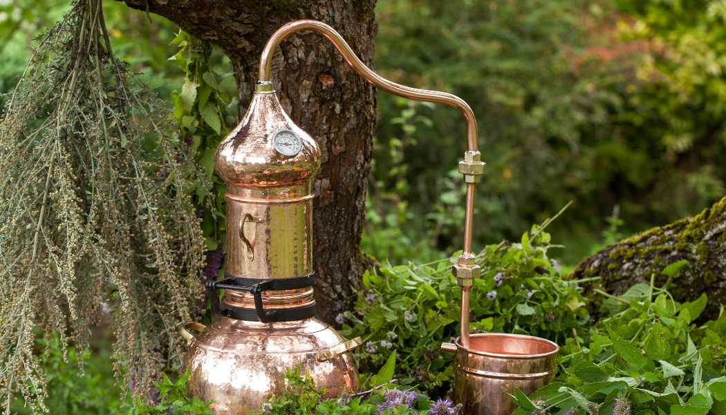 alambic dans la nature